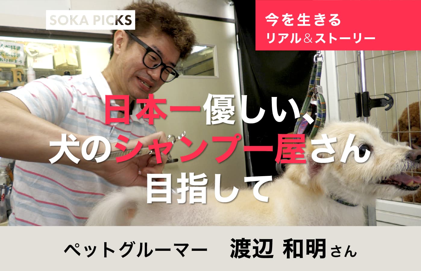 アーティストベア ワンコ 犬 日本人作家 【公式通販】