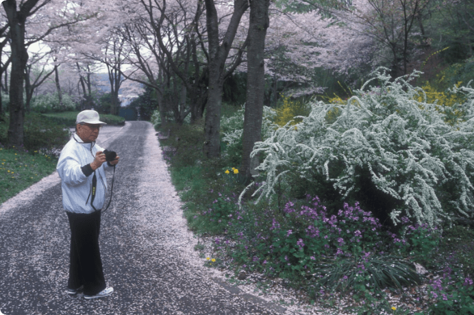 画像:花々にカメラを向ける池田先生