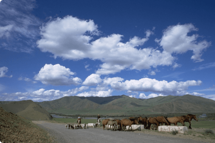 画像:大草原と大空の国・モンゴル