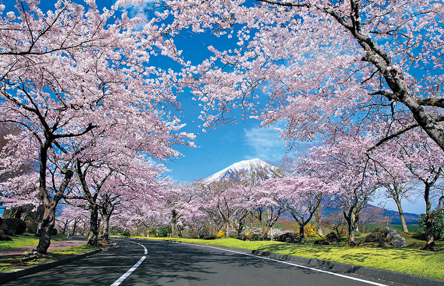 富士桜自然墓地公園・富士桜多宝納骨堂・富士桜常楽納骨堂（静岡）｜創価学会公式サイト