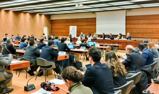 国連欧州本部で開催した人権教育の討論会（2018年、スイスで）