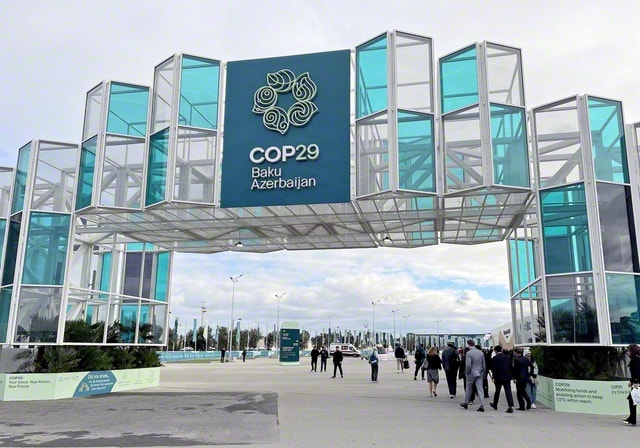国連のCOP29（気候変動対策会議）でSGIが各種行事を開催
