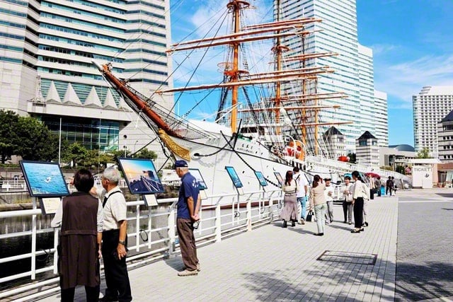 画像　展示の様子
