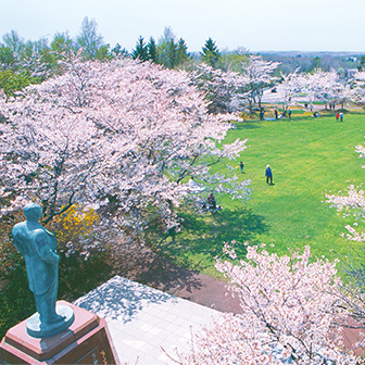 【戸田記念墓地公園】北限の桜01