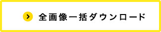 全画像一括ダウンロード