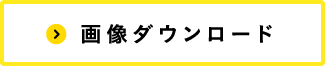画像ダウンロード
