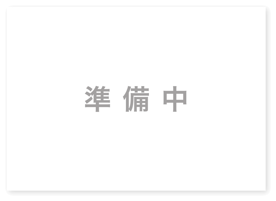 詳細版