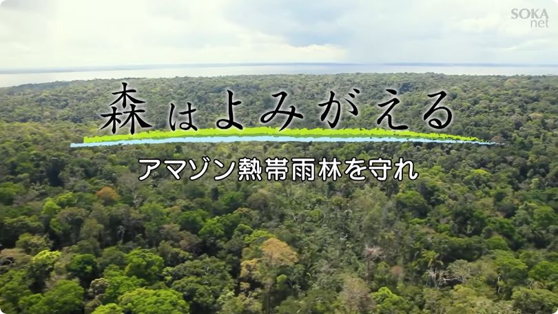 森はよみがえる アマゾン熱帯雨林を守れ